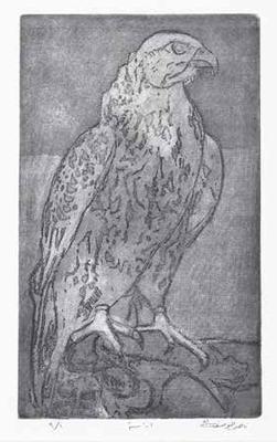 Study, 1981, Print - Zinc Etching